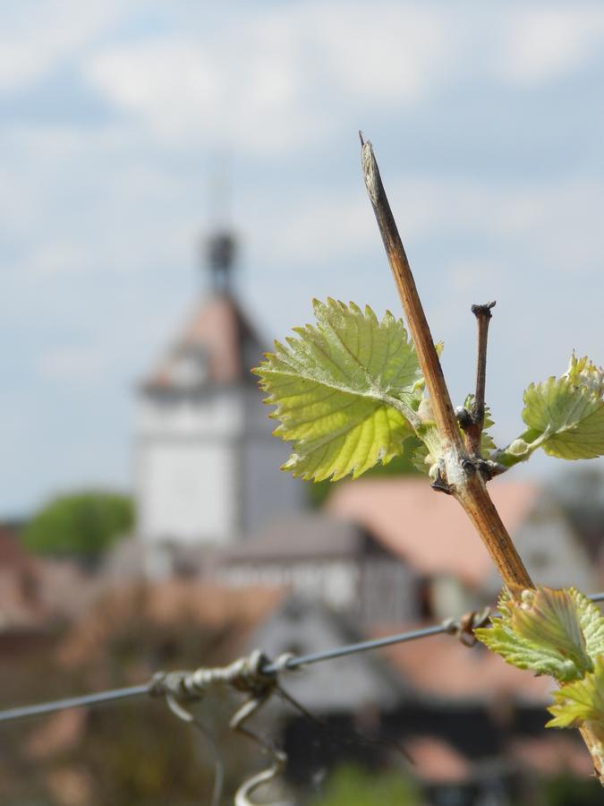 Gaestehaus Am Westtor Prichsenstadt Exteriér fotografie
